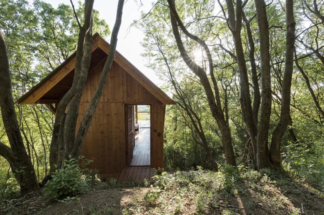 匈牙利度假木屋 木頭小屋 Hungary Wood wooden timber House on 12 Legs／RJZS Architects