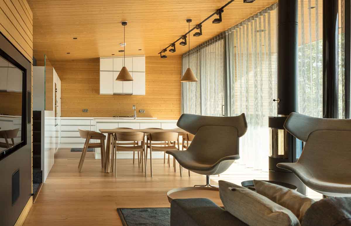 芬蘭私人別墅Villa Ryysyranta II／PAVE Architects