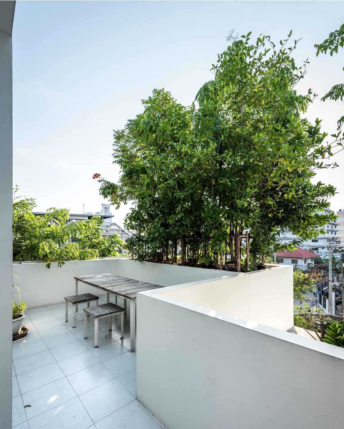 屋頂，曼谷「森林之家」私人住宅／Shma Company Limited
