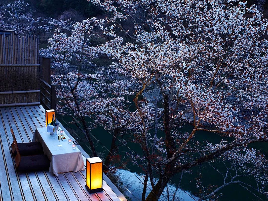虹夕諾雅京都 Hoshinoya Kyoto 精心設計的亭台座位可以與鳥兒昆蟲對視