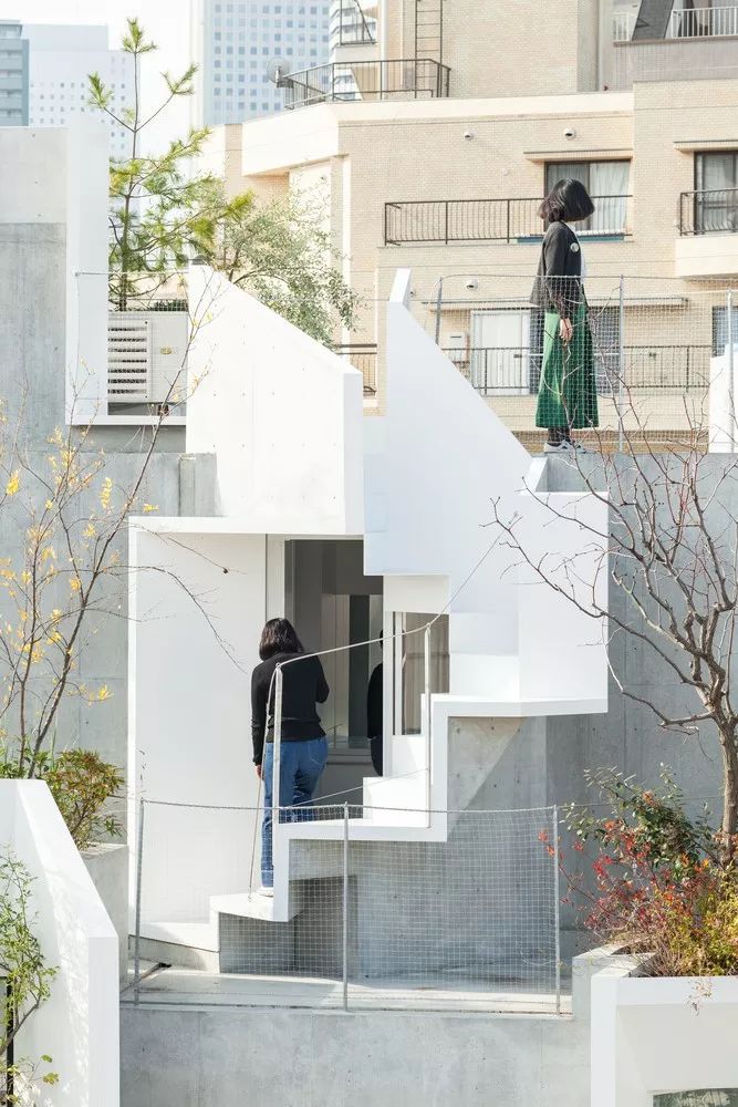 東京森林之家Tree-Ness House／平田晃久
