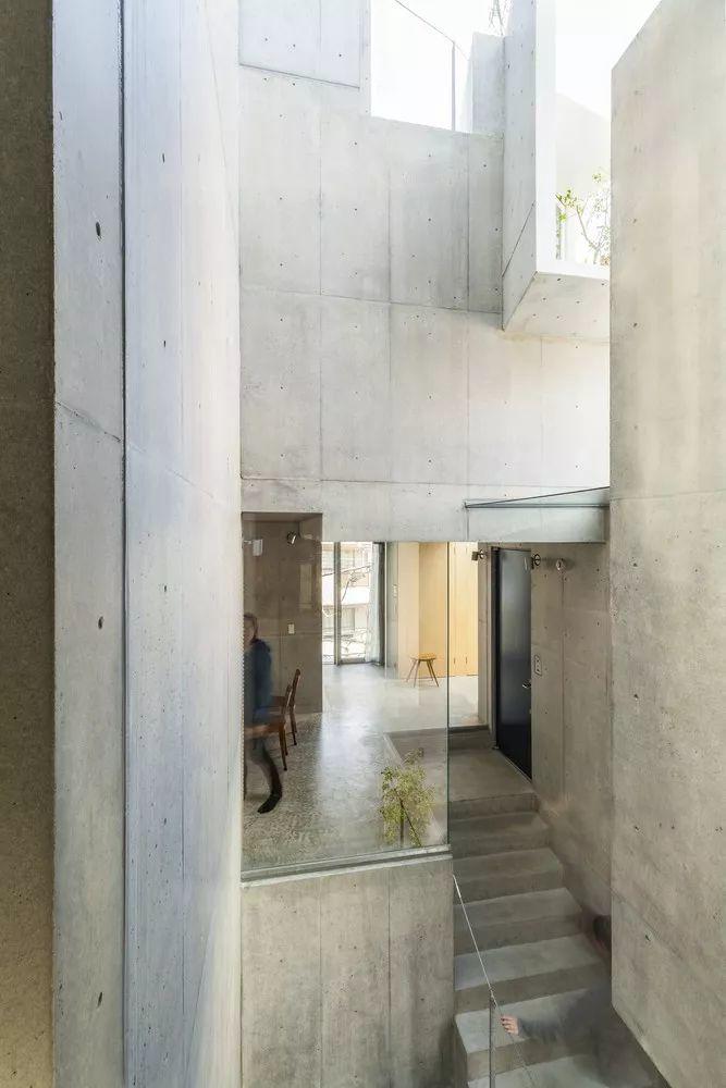 東京森林之家Tree-Ness House／平田晃久