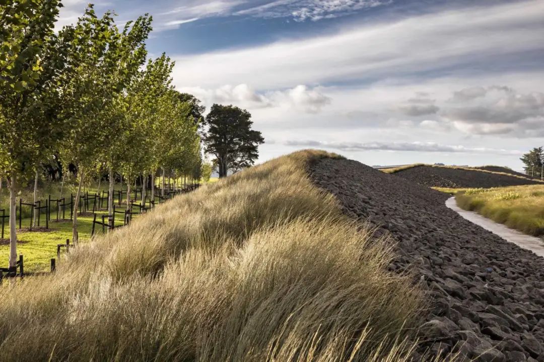 New Zealand Auckland International Airport Landscape／Surfacedesign