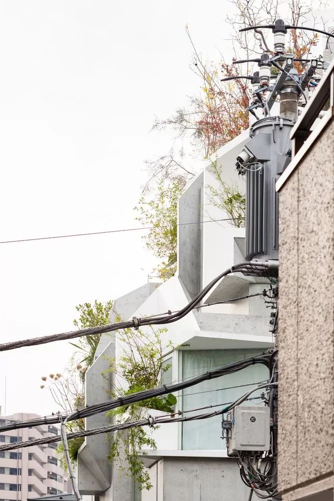 東京森林之家Tree-Ness House／平田晃久
