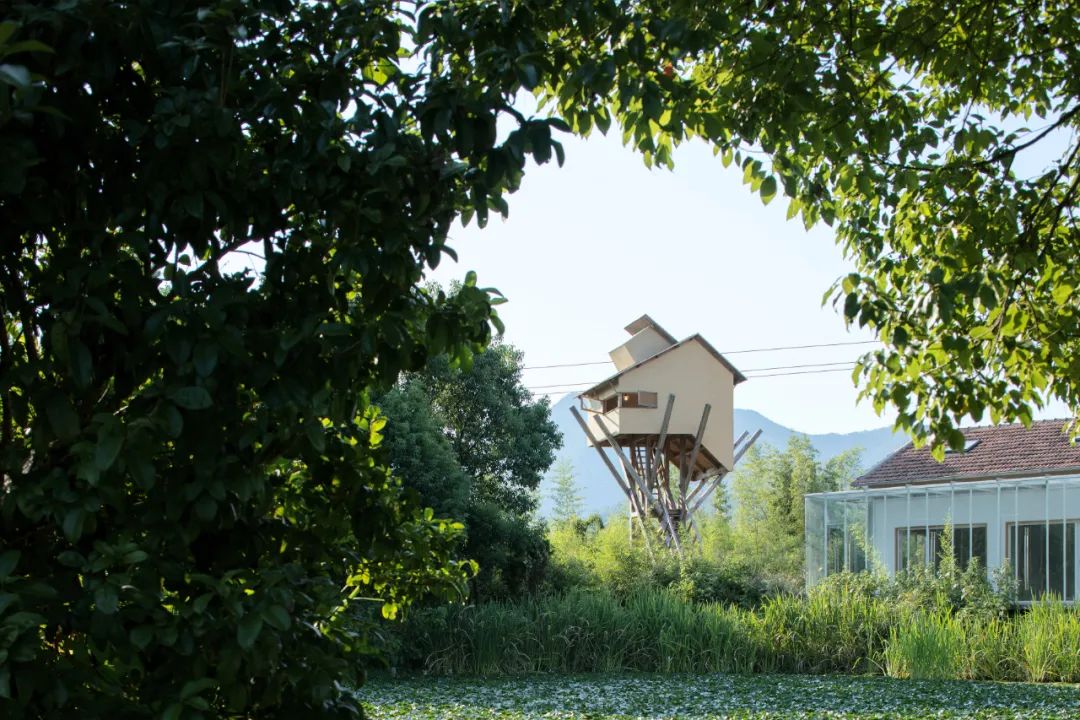 木構造冥想守望塔／跳房子建築工作室