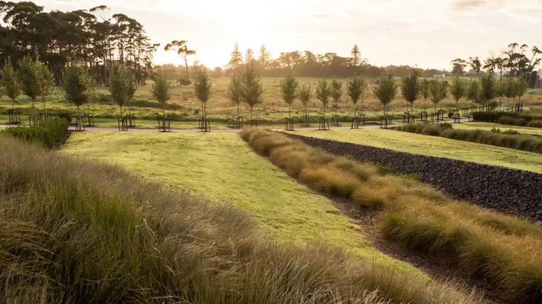 New Zealand Auckland International Airport Landscape／Surfacedesign