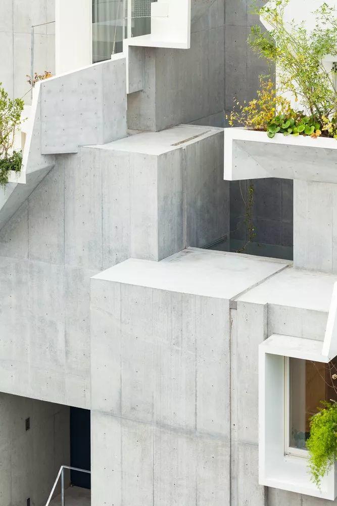 東京森林之家Tree-Ness House／平田晃久