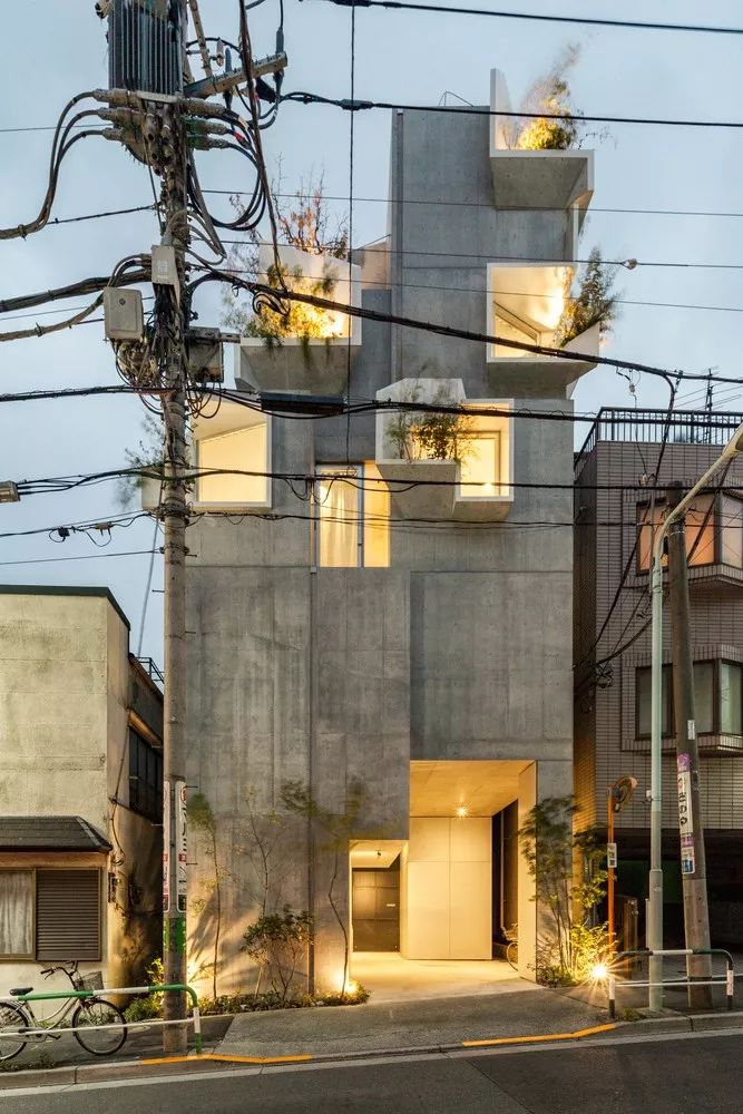 東京森林之家Tree-Ness House／平田晃久