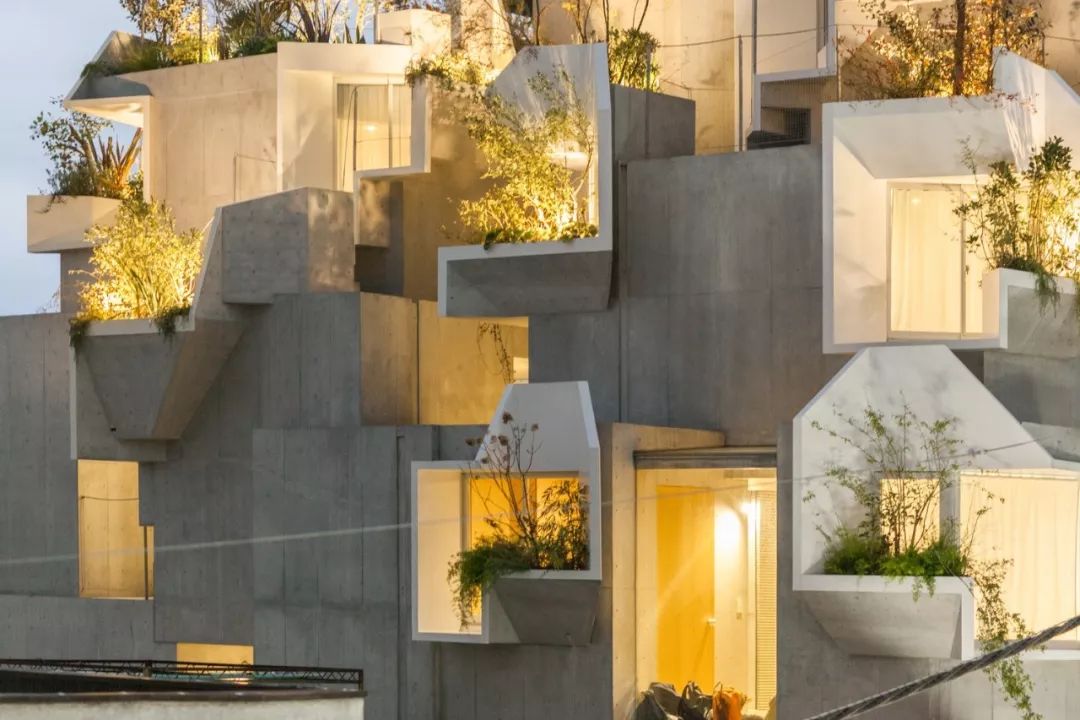 東京森林之家Tree-Ness House／平田晃久