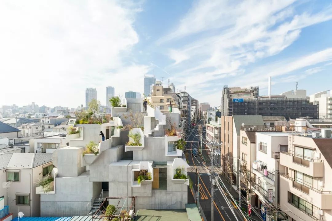 東京森林之家Tree-Ness House／平田晃久
