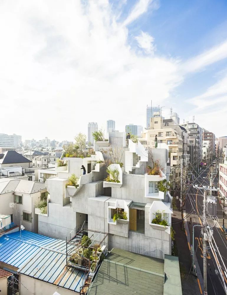 東京森林之家Tree-Ness House／平田晃久