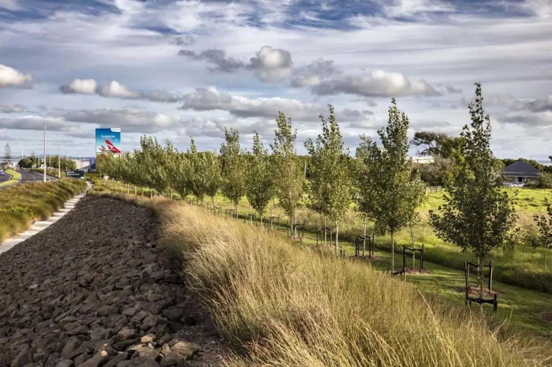 New Zealand Auckland International Airport Landscape／Surfacedesign