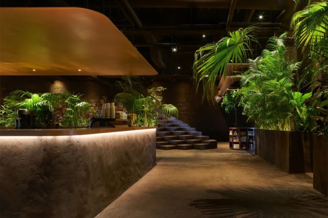 東京表參道餐廳GYRE.FOOD／Atelier Tsuyoshi Tane Architects