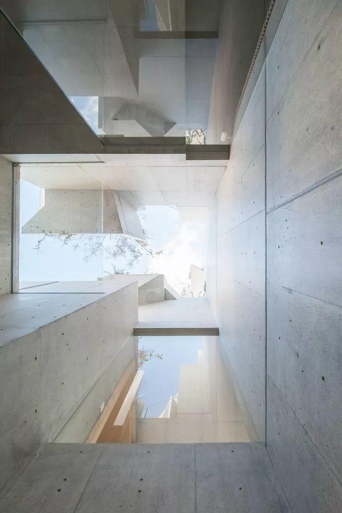 東京森林之家Tree-Ness House／平田晃久