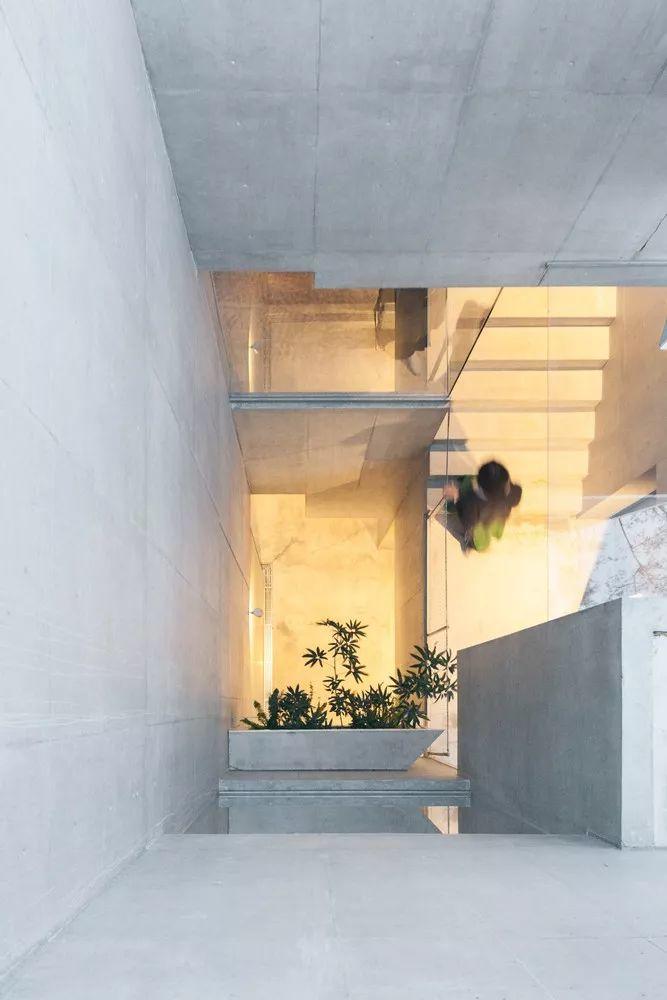東京森林之家Tree-Ness House／平田晃久
