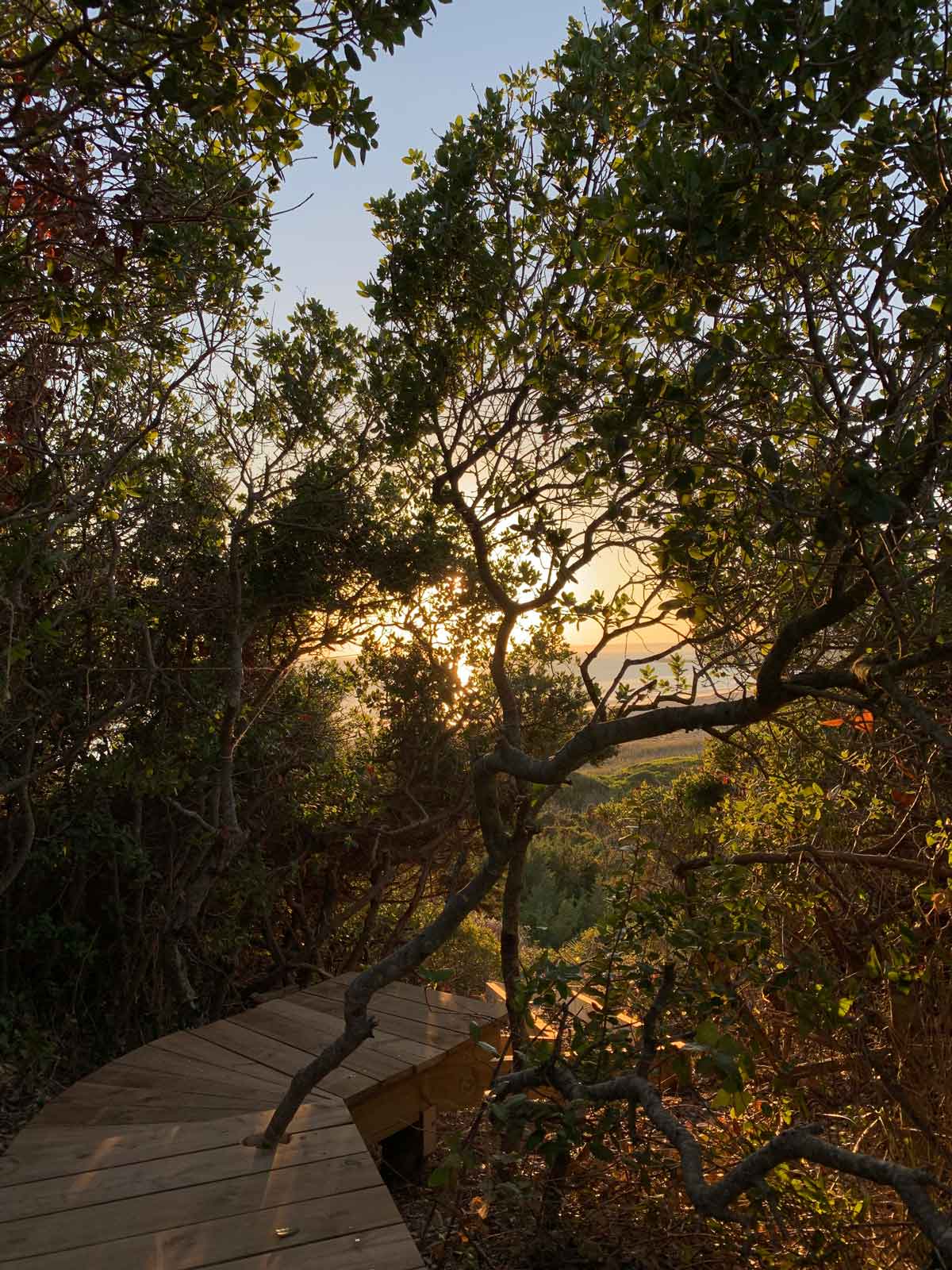 直布羅陀海峽小木屋Cabanon 1005 House／estudio eyc