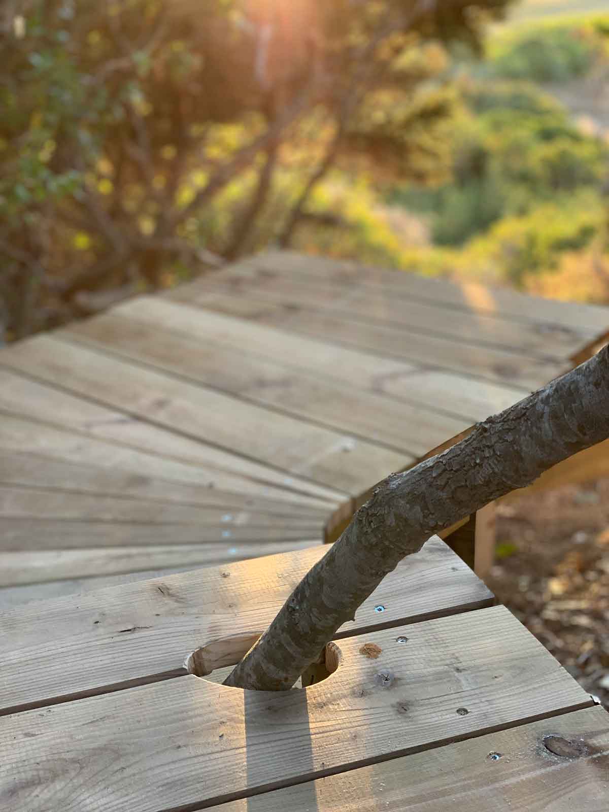 直布羅陀海峽小木屋Cabanon 1005 House／estudio eyc