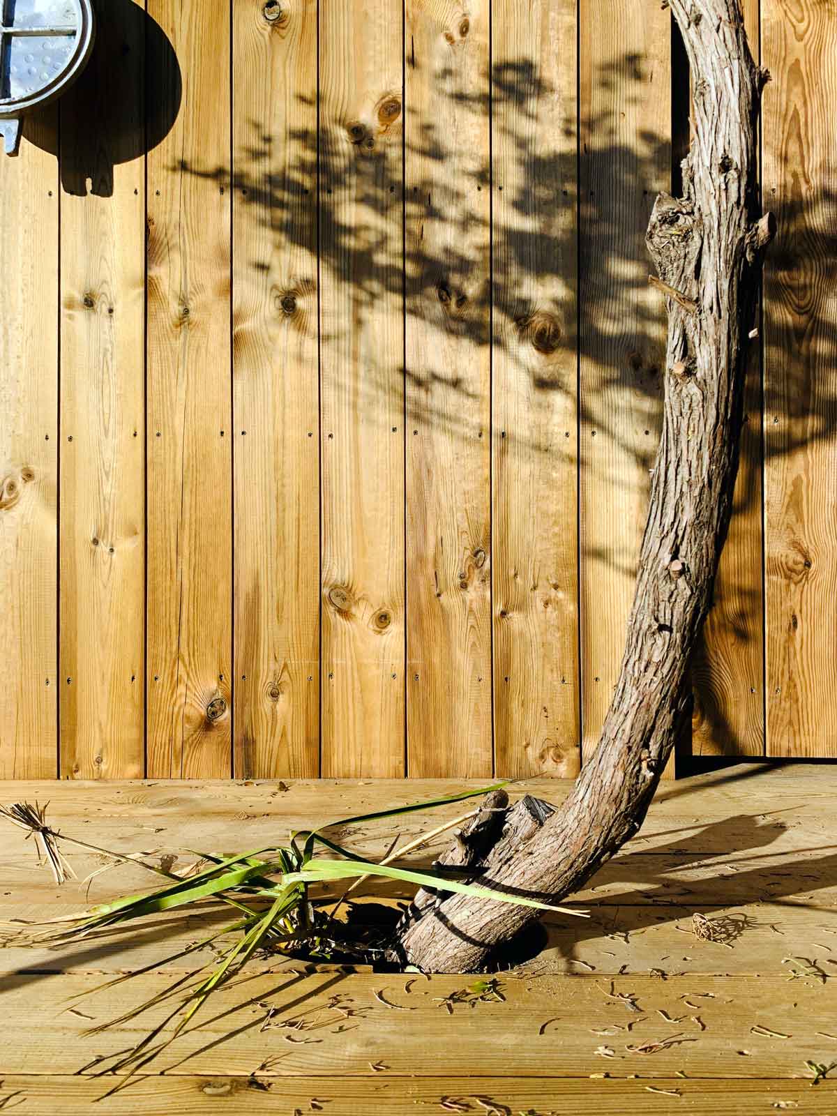 直布羅陀海峽小木屋Cabanon 1005 House／estudio eyc