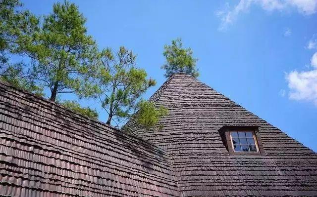 神勝寺松堂／藤森照信