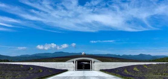 札幌真駒內武田公墓「頭大佛」／安藤忠雄