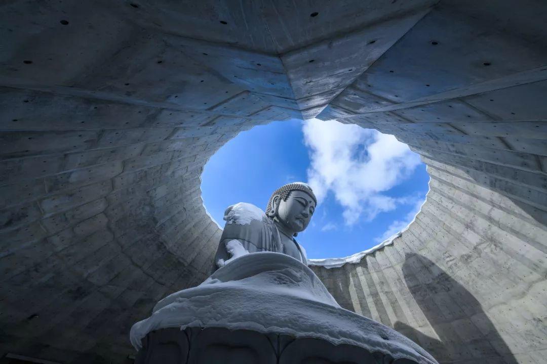 札幌真駒內武田公墓「頭大佛」／安藤忠雄