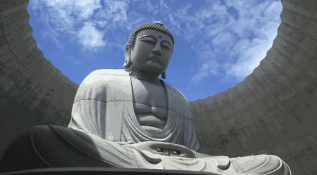 札幌真駒內武田公墓「頭大佛」／安藤忠雄