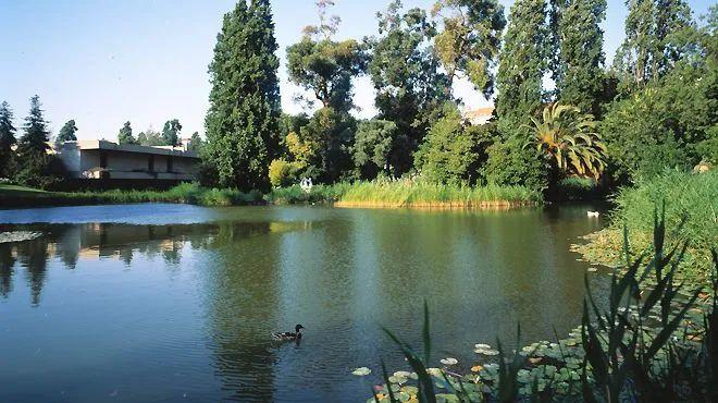 人工湖 © gulbenkian garden