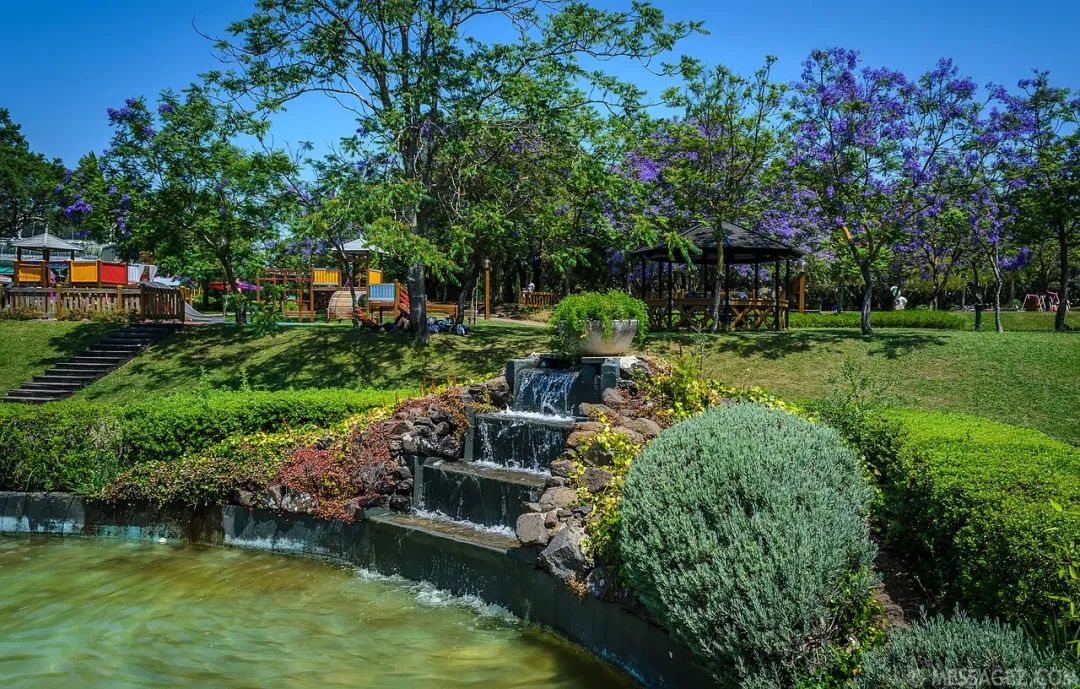 孟山都森林公園