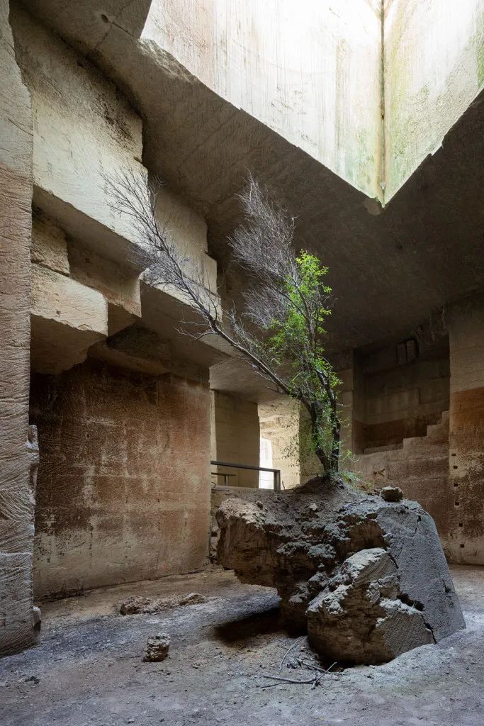 西班牙大地之屋Ca'n Terra／Ensamble Studio