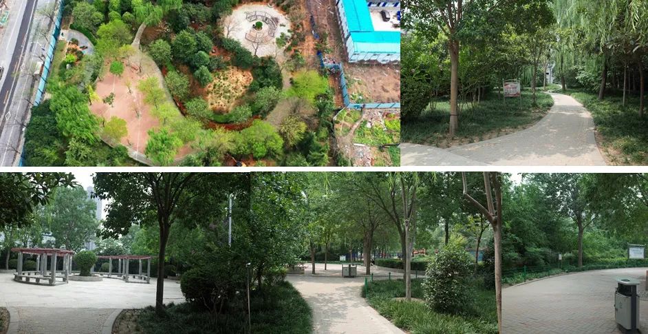 思考:稀缺的城市綠地, 需要承載更多的使命,如何活化城市公共空間的參與度?給周邊市民帶來積極的參與空間?