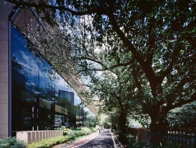 ，隈研吾Kengo Kuma