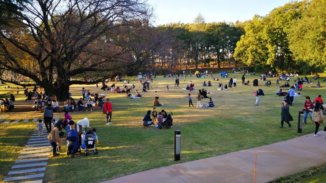東京TOD南町田Grandberry Park Tokyo
