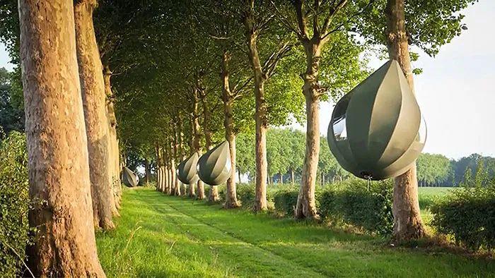 布姆坎普樹屋飯店 Boomkamp Treehouse Hotel