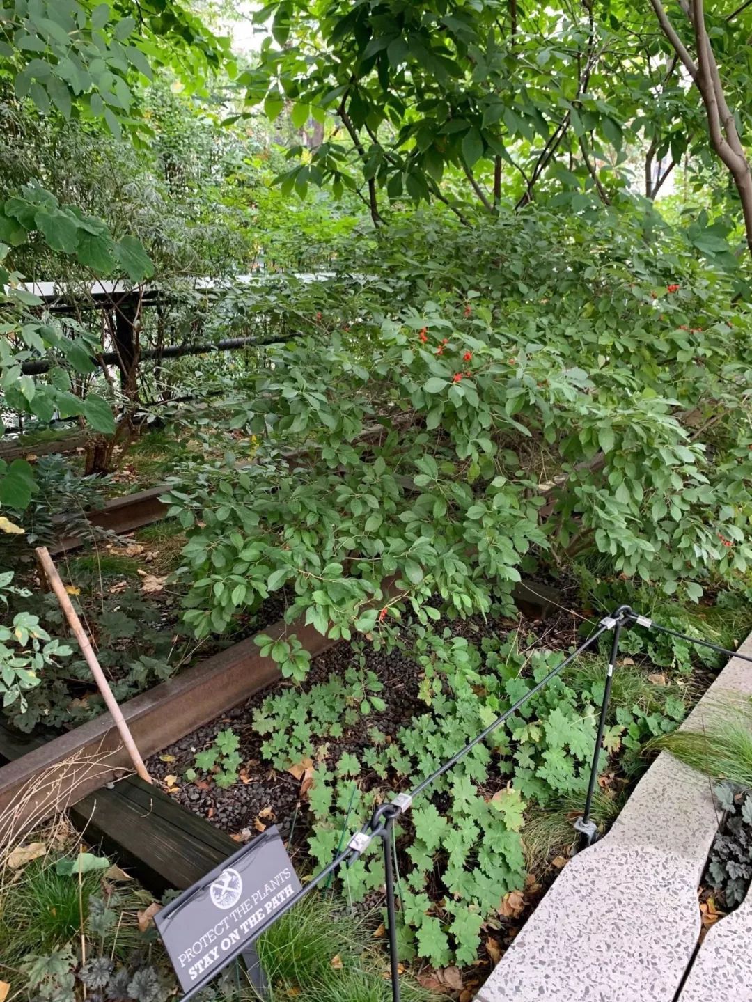 Highline New York City 紐約高線公園