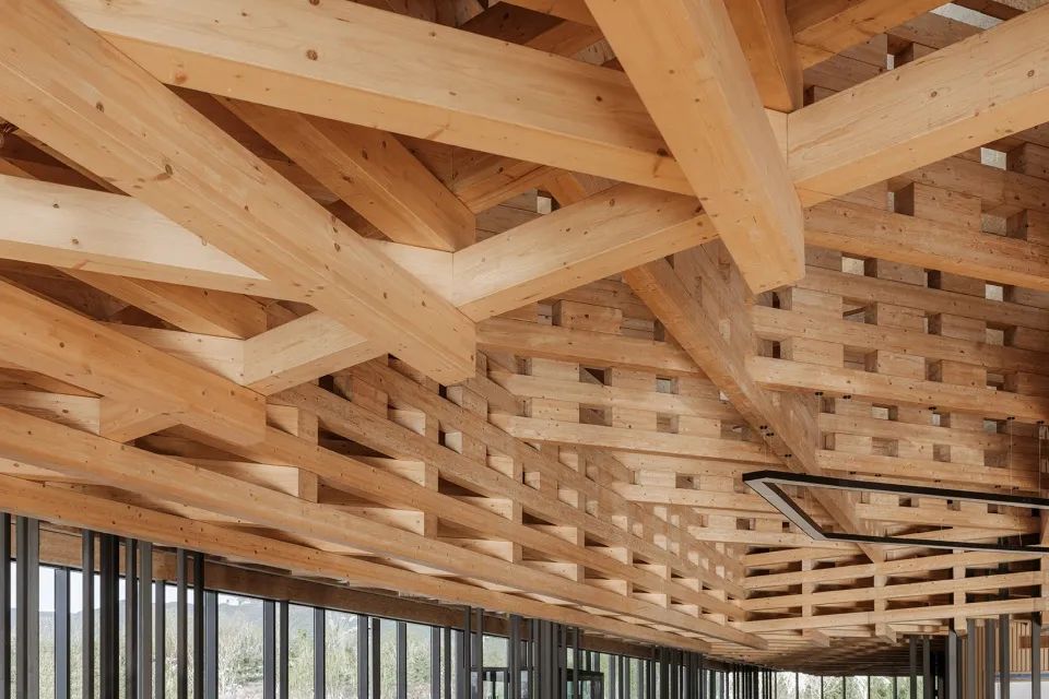 太原植物園／Delugan Meissl Associated Architects