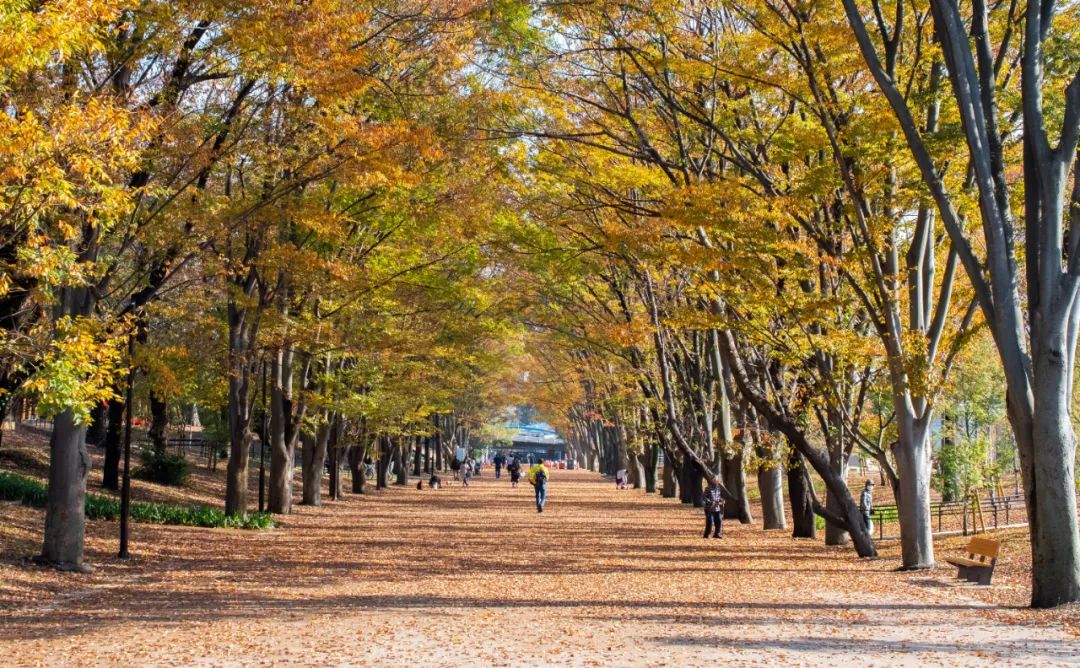 東京南町田Grandberry Park
