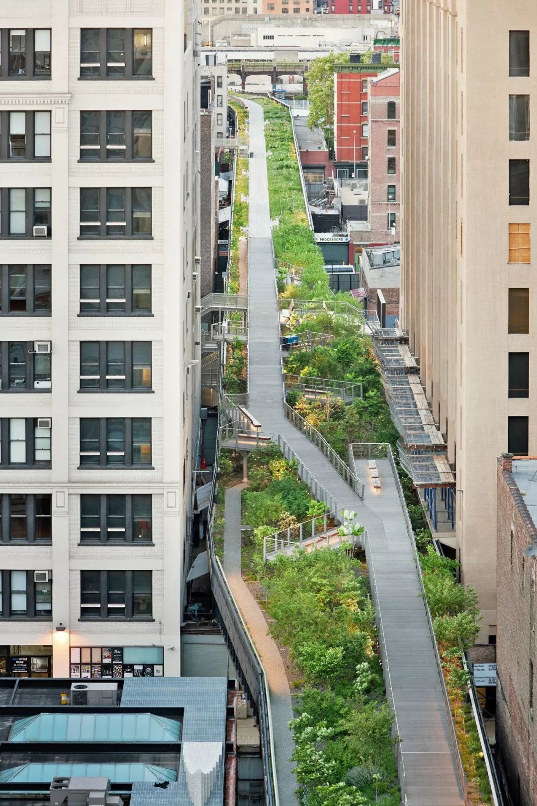 俯瞰紐約高線公園 The High Line New York