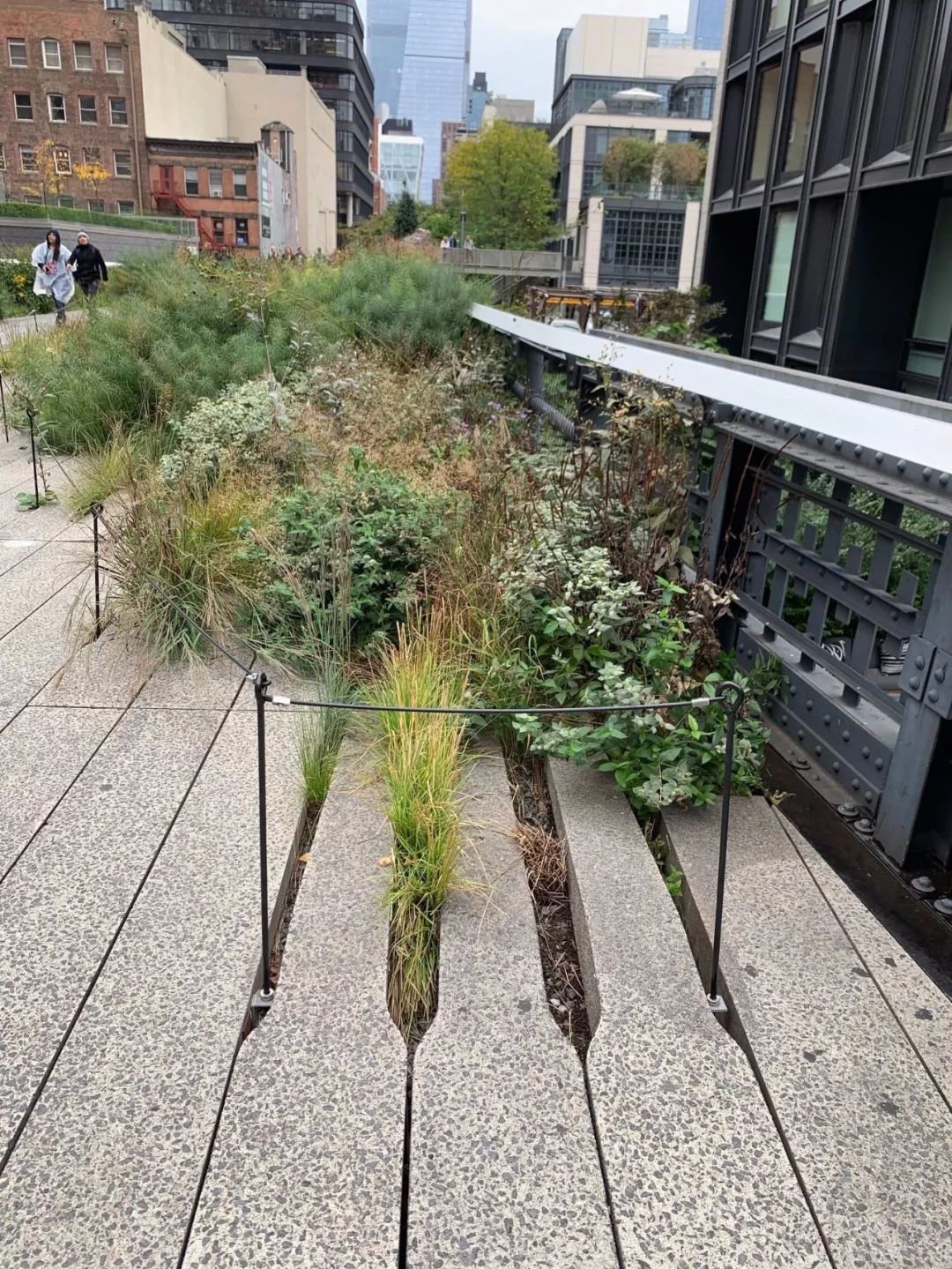 Highline New York City 紐約高線公園