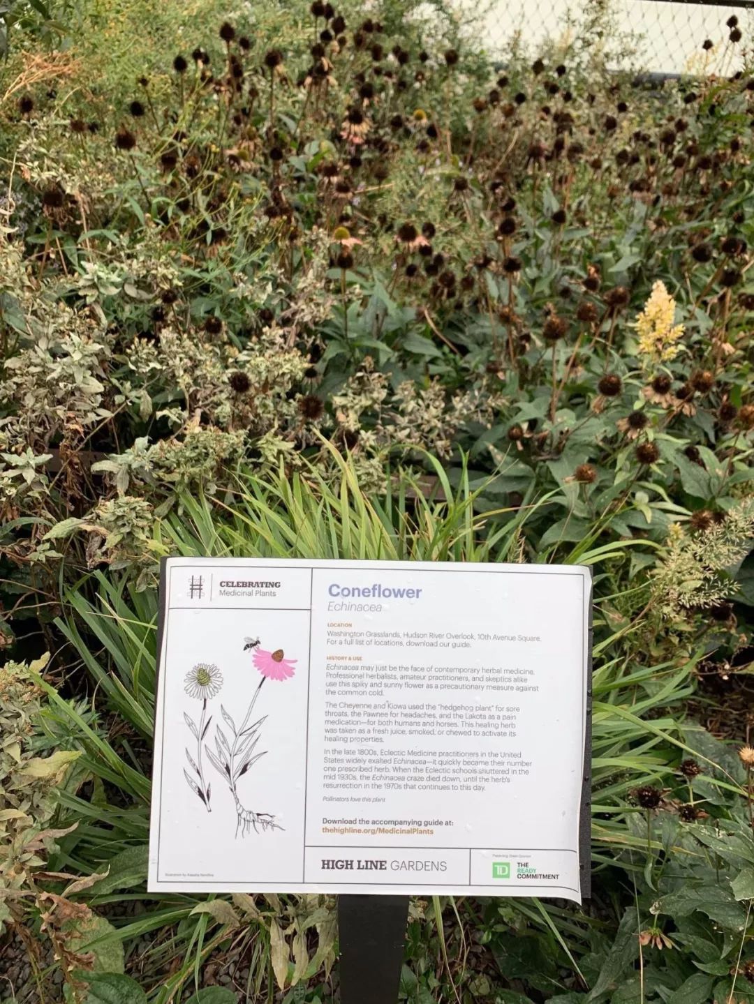 Highline New York City 紐約高線公園