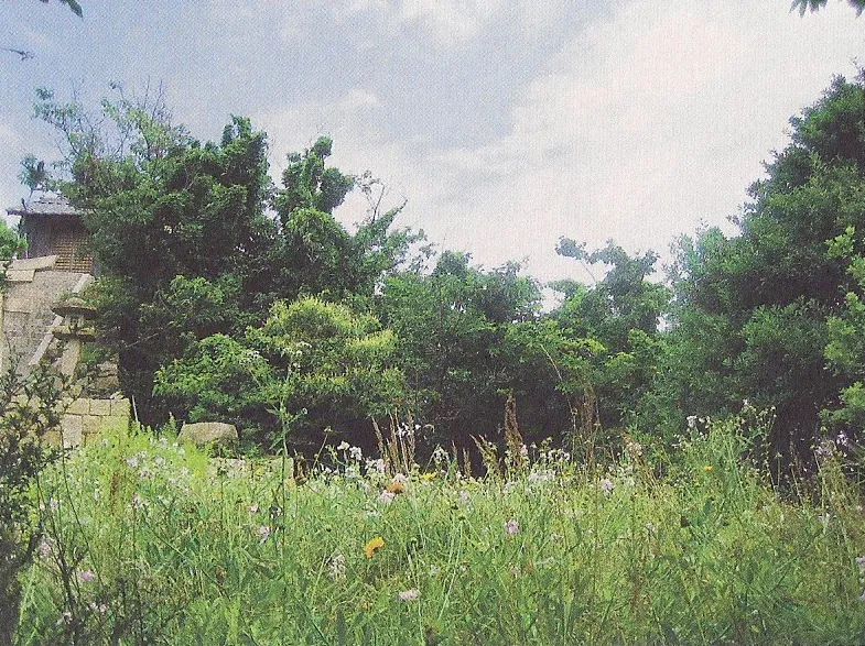 花園 Gardens