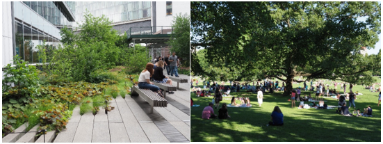在封城與居家自主隔離之多重限制下，兼顧社交距離之都市公園、綠地、開放空間扮演了全齡市民心靈療愈之新角色。郭瓊瑩攝