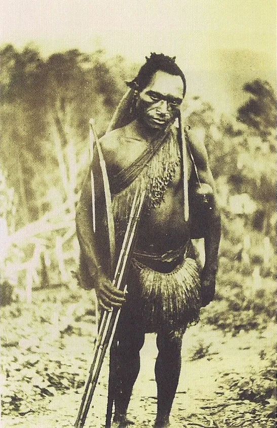 庫卡庫卡人，巴布亞新幾內亞Kuku Kuku People, Papua New Guinea