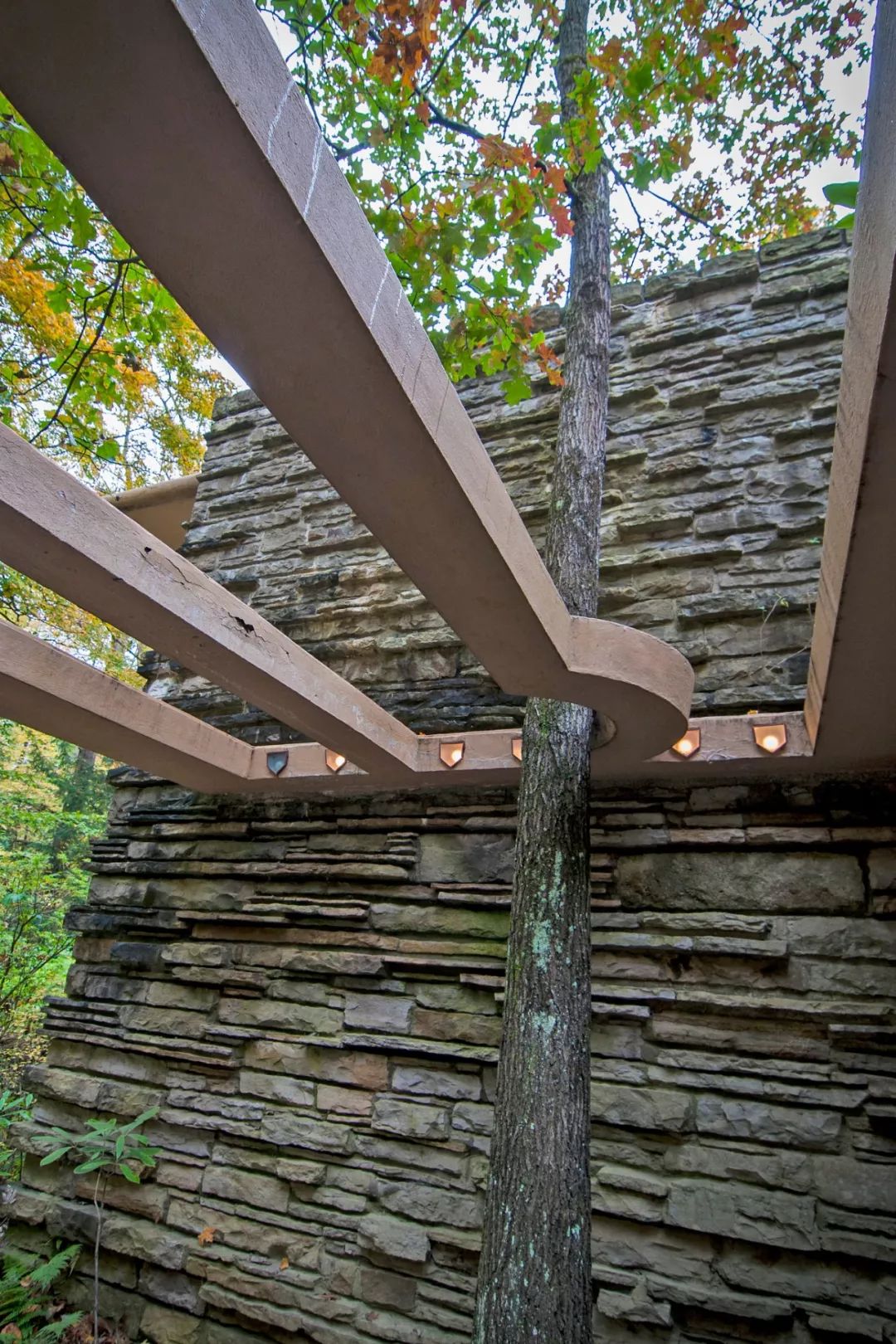 落水山莊Fallingwater／Frank Lloyd Wright