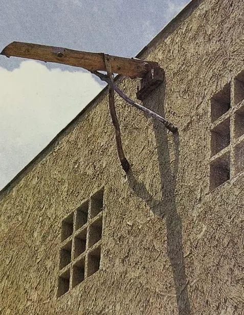 秋野不矩美術館／藤森照信