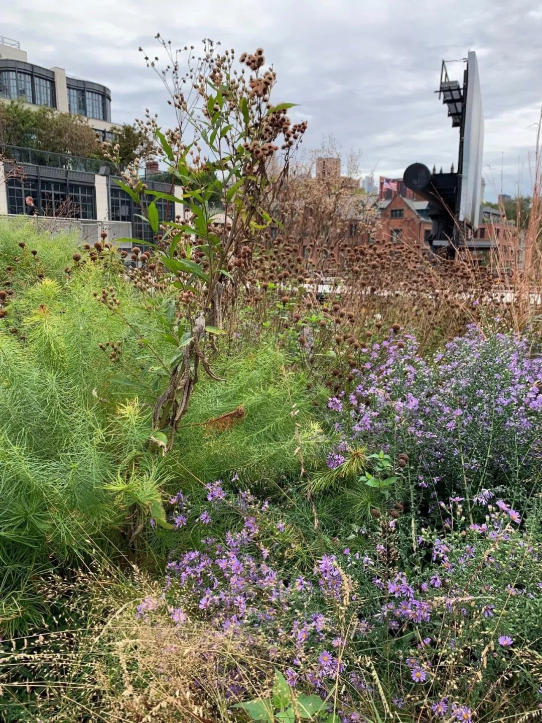 Highline New York City 紐約高線公園