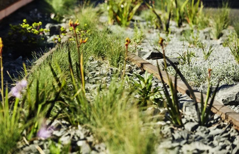 The Goods Line, Sydney 雪梨高線公園