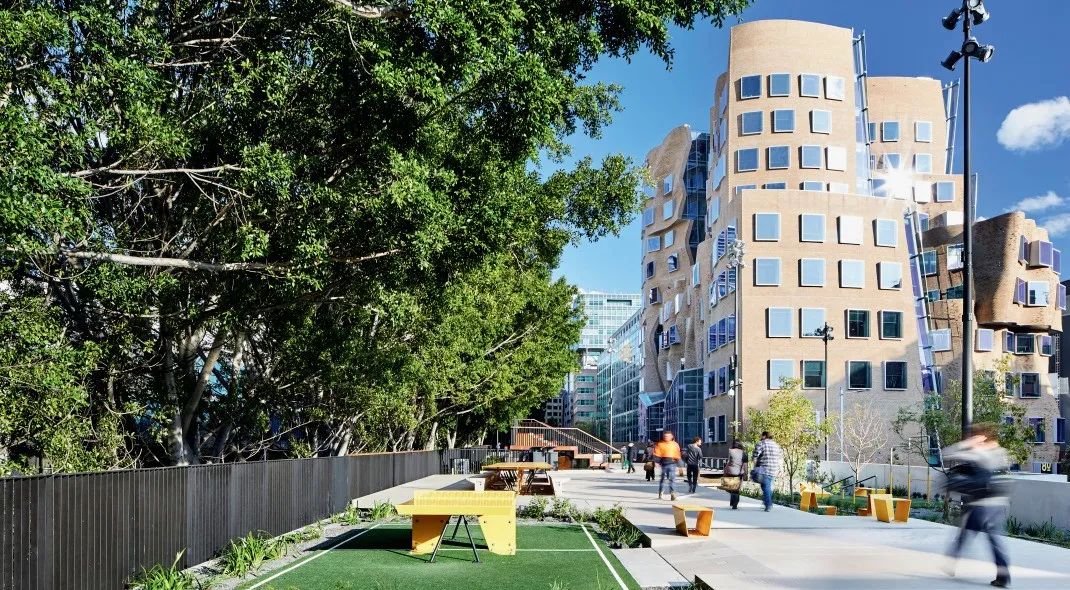 Frank Gehry設計的「周澤榮博士大樓」位於高線公園的一側，屬於雪梨科技大學