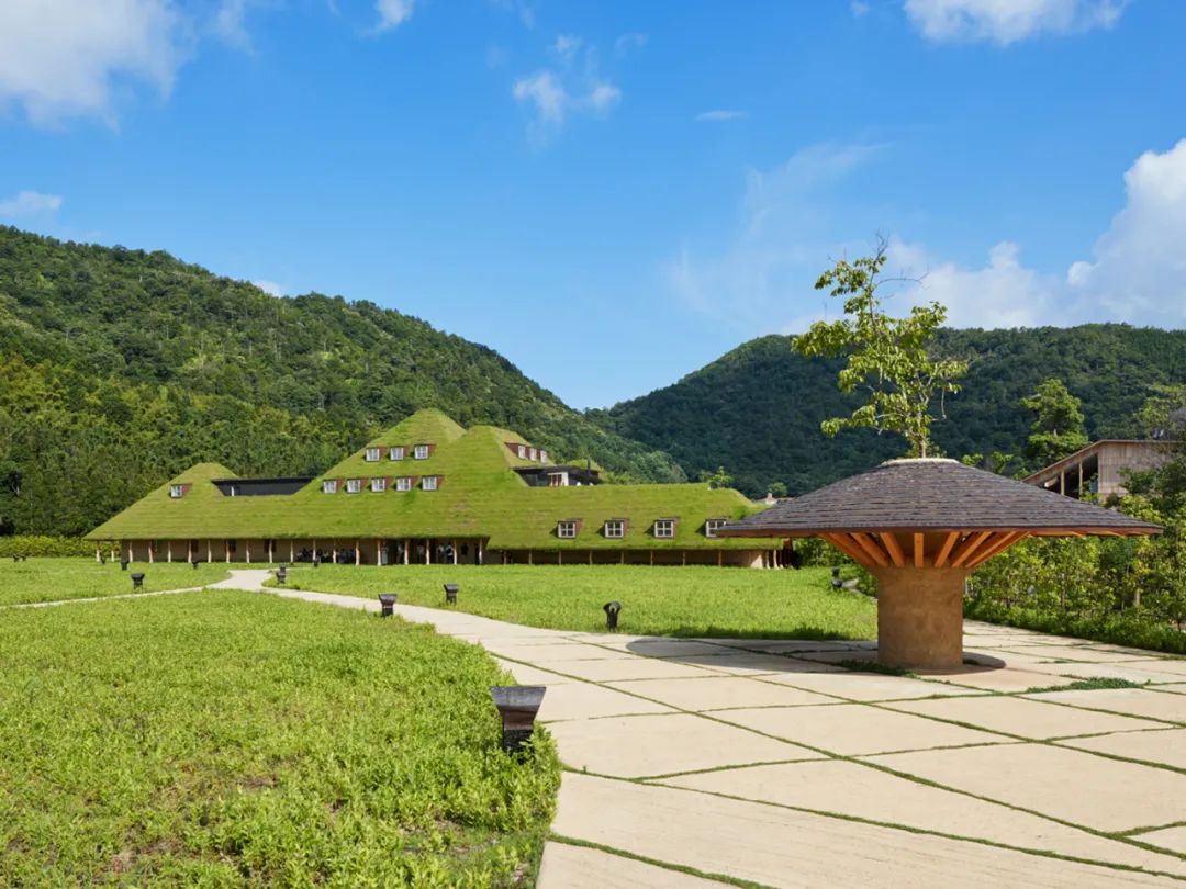 遍植草皮的綠屋頂，La Collina／藤森照信