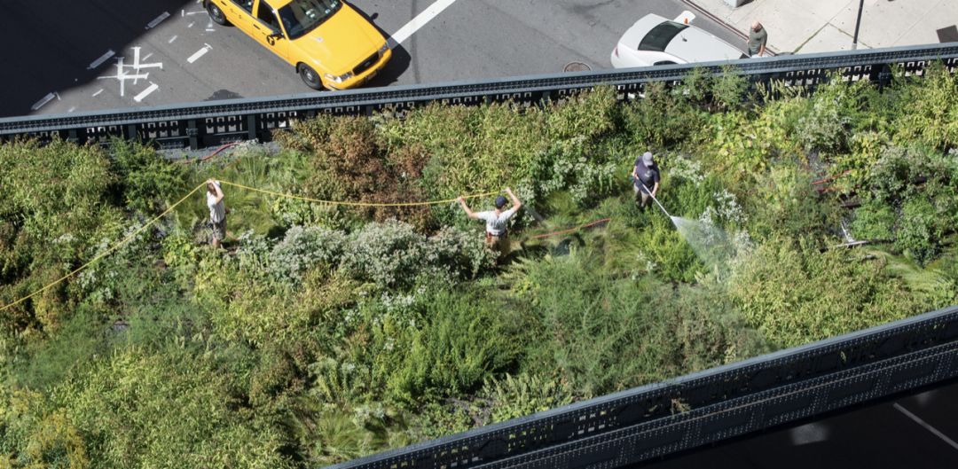 Highline New York City 紐約高線公園