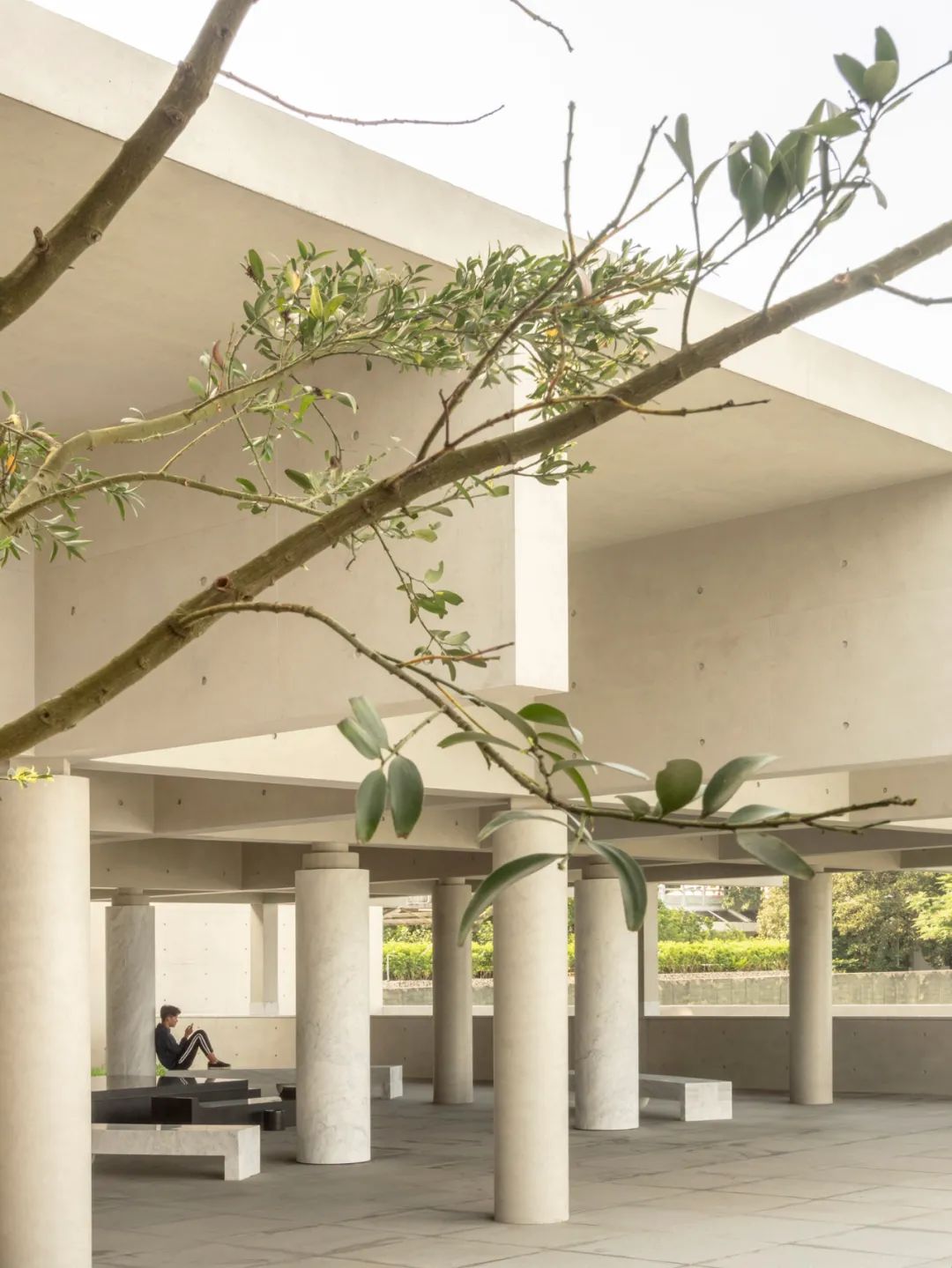 金寶山嘉卿園陵園／Álvaro Siza + Carlos Castanheira